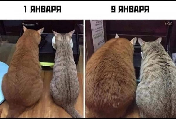 ПНВПРЯ ПНВПРЯ