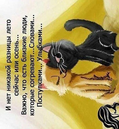шкіл ЁшЁЁо шшоб_е_шщшЕои шіпоьок ЁЁ тімЁп Ёш о _охйшш дхшис имтжши твш _л____ппц Боишкзх Ф 5