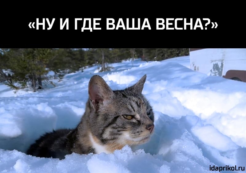 НУ И ГДЕ ВАША ВЕСНА ігіаргіКпЦи