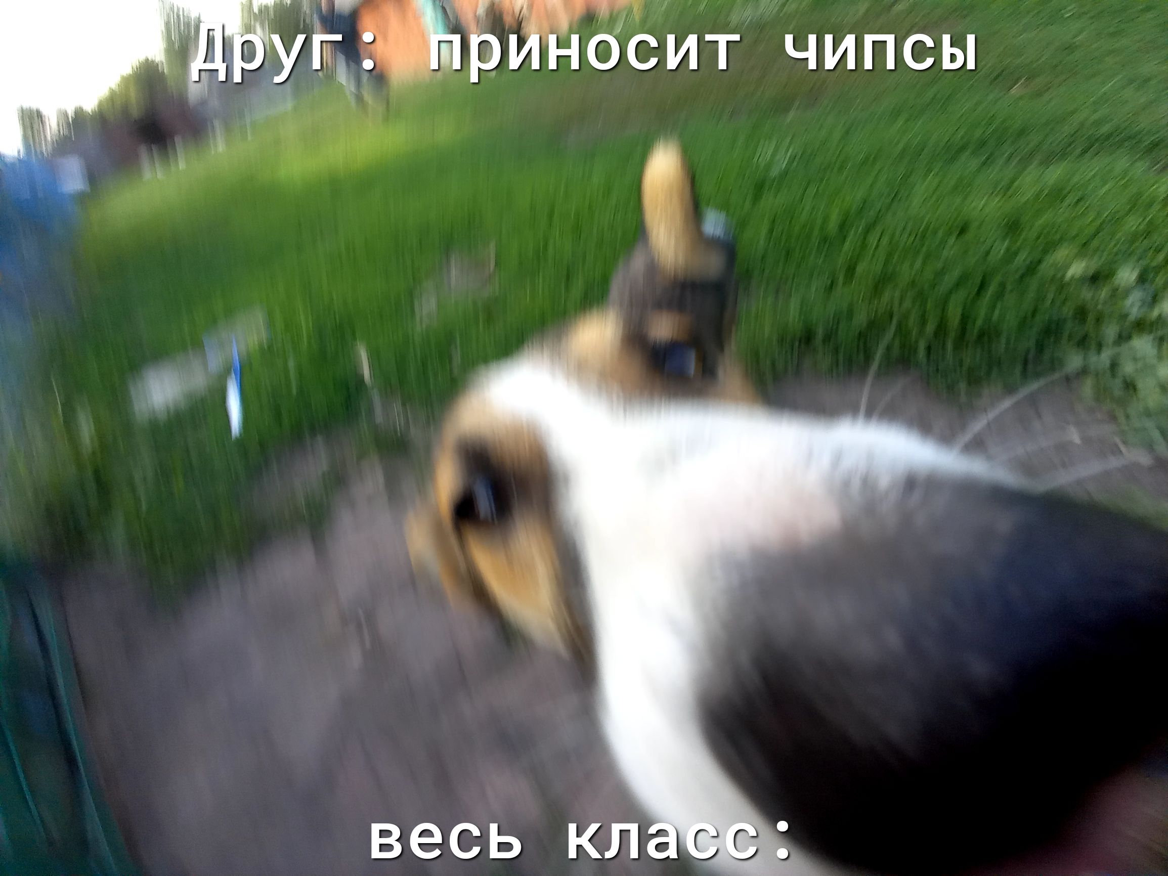 ВЭСЬ КЛ