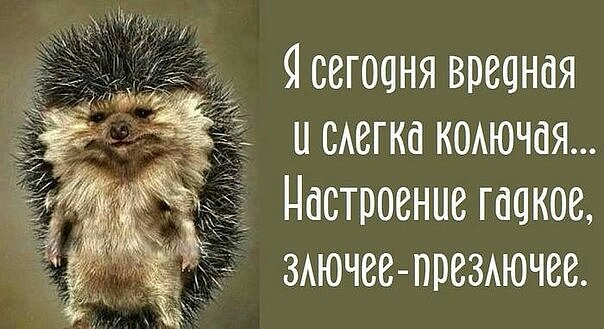 91 сегодня вредная и меню к0Аючая Настроение гадкое 3Аючее преЗАючее