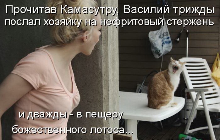 Прочитав а поспал ХОЗЯ