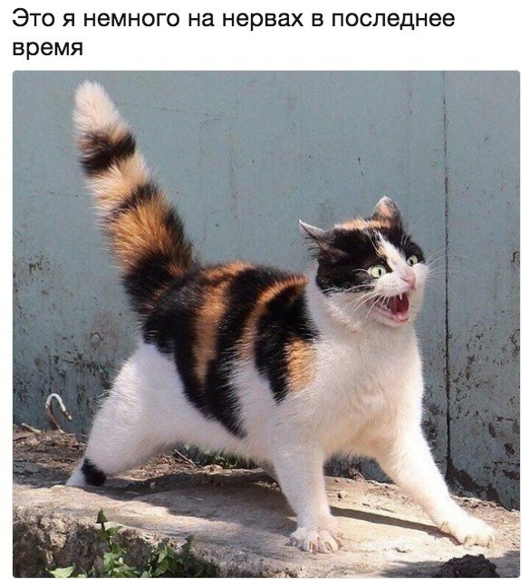 Это я немного на нервах в последнее время
