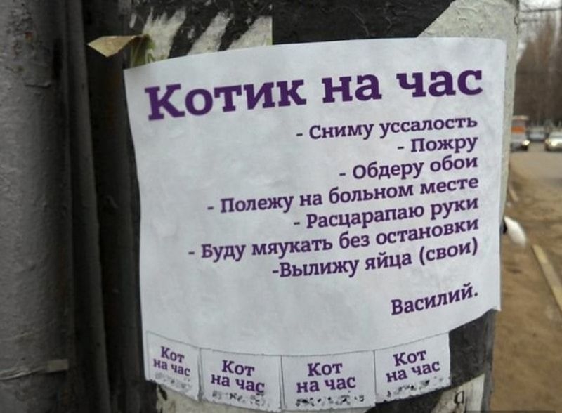 _ СНИМУ уссапость ПОЖРУ _