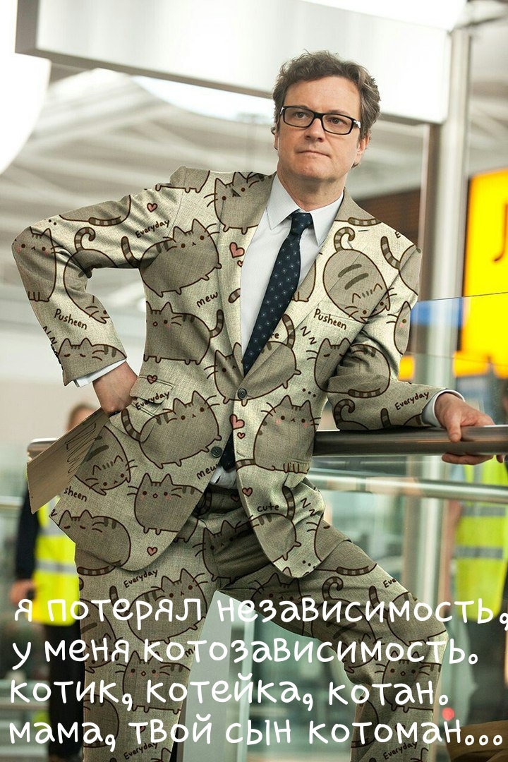 Котина к Мд9 тв