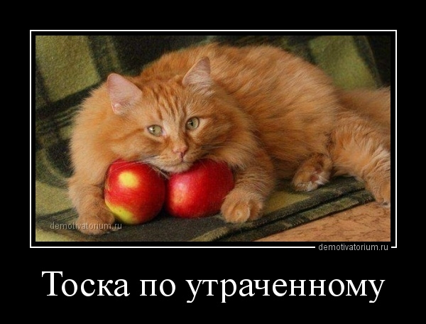 Тоска по утраченному