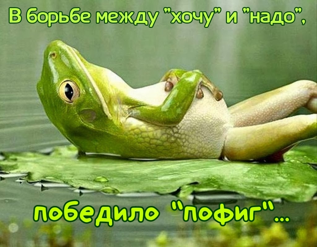 В борьбе между Ёчу п9бедило пофиг що