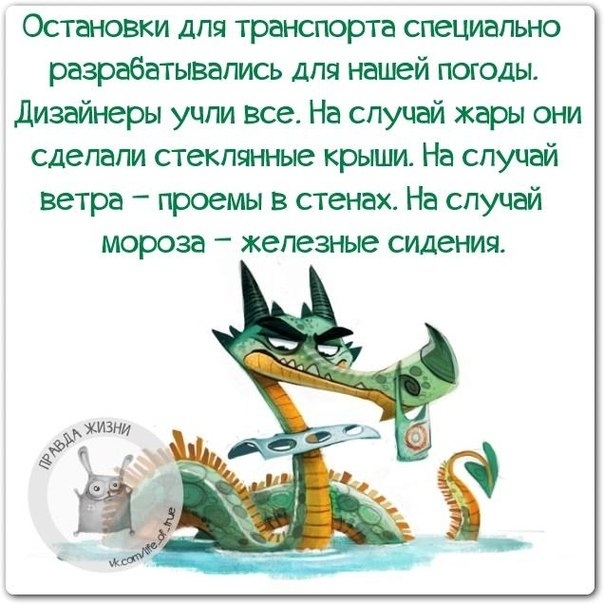 Остановки для транспорта специально разрабатывались для нашей погоды Дизайнеры учли все На случай жары они сделали стеклянные крыши На спуцай Ветра проемы в стенах На случай мороза железные сидения