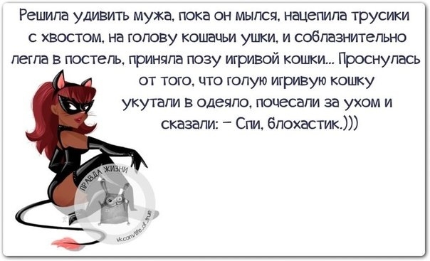 Решила удивить мужа пока он мылся нацепила трусики с хвостом на голову кошачьи ушки и соблазнительно легла в постель приняла позу игривой кошки Проснулась от тою что голую игривую кошку укутали в одеяла поцесали за ухом и сказали Спи блохзстик