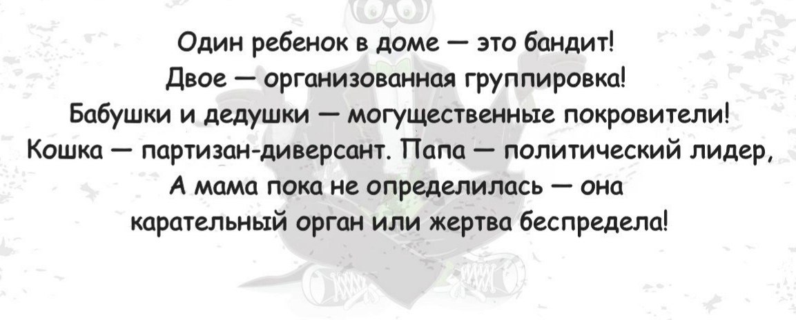 Один ребенок в доме это бандит Двое организованная группировка Бабушки и дедушки могущественные покровители Кошка партизан диверсант Папа политический лидер А мама пока не определилась она карательный орган или жертва беспредела