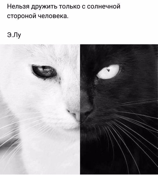 Нельзя дрЖИТЬ ТОЛЬКО С солнечной СТОРОНОЙ человека