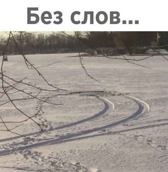 Без слов