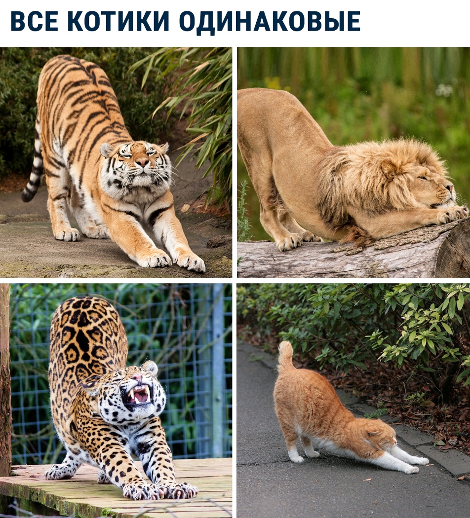 Е В В 0 к А Н и д 04 и к и О к Е с В