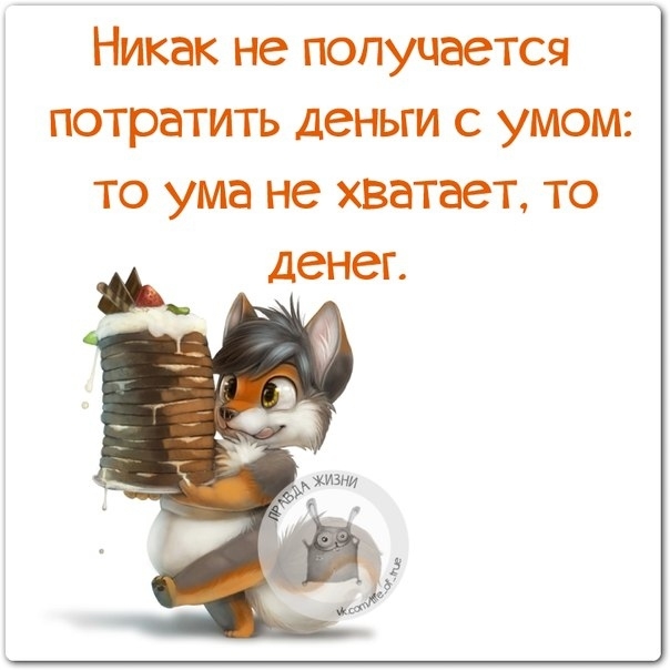 Никак не получается потратить деньги с умом то ума не хватает то денег