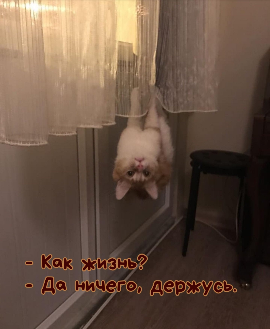 о тжёъо