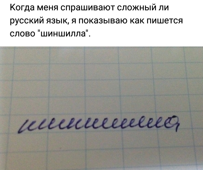 Когда меня СПРЗШИВЗЮТ СЛОЖНЫЙ ЛИ РУССКИЙ ЯЗЫК Я ПОКЗЗЫВЗЮ КЗК ПИШЭТСЯ слово шиншилла