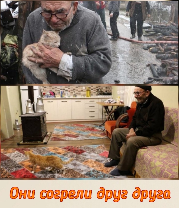 Они согрела друг друга