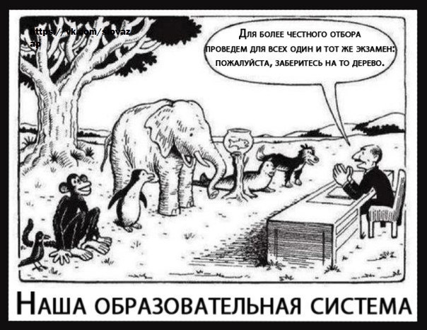 дЛя Бонн чююю швом шведы для как алии и ты ж акимы пожитки шмкь А Ю Літо _ ___ НАША ОБРАЗОВАТЕЛЬНАЯ СИСТЕМА