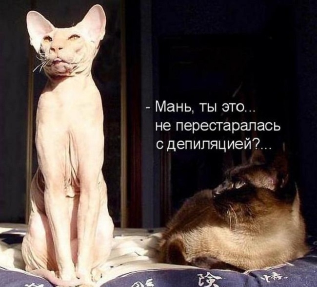 Мань ты это не перестарапась с депиляцией7 815