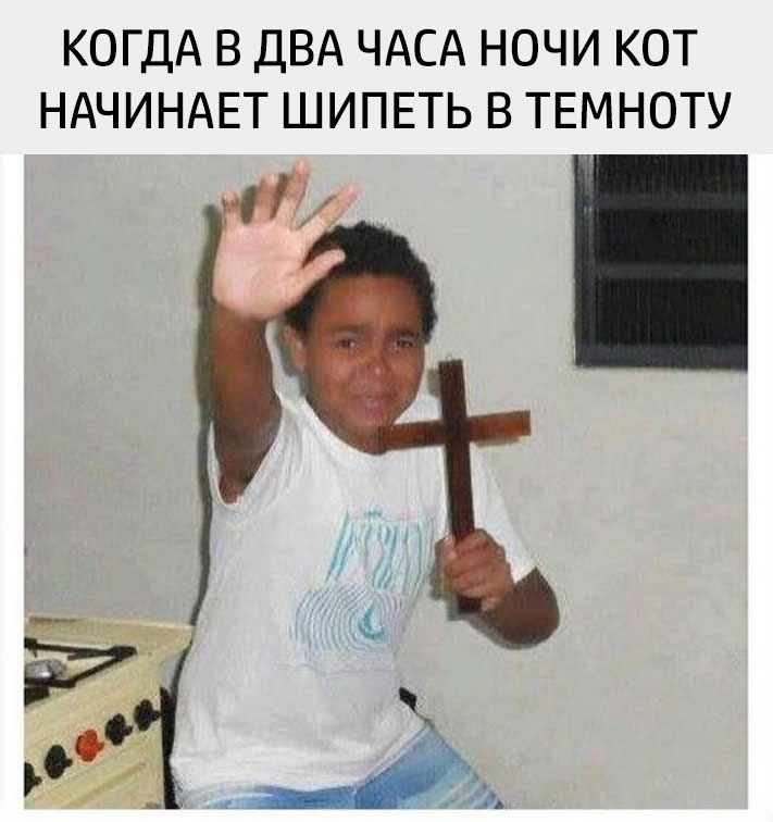 КОГДА В ДВА ЧАСА НОЧИ КОТ НАЧИНАЕТ ШИПЕТЬ В ТЕМНОТУ