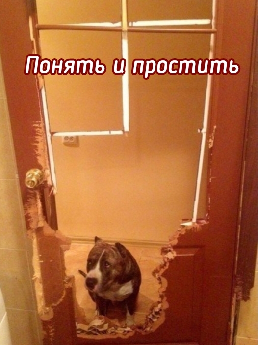 __г Понять и прос _ц7ть