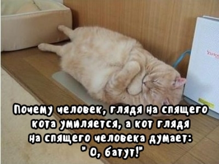 св спящегогчеяопп длин бат _