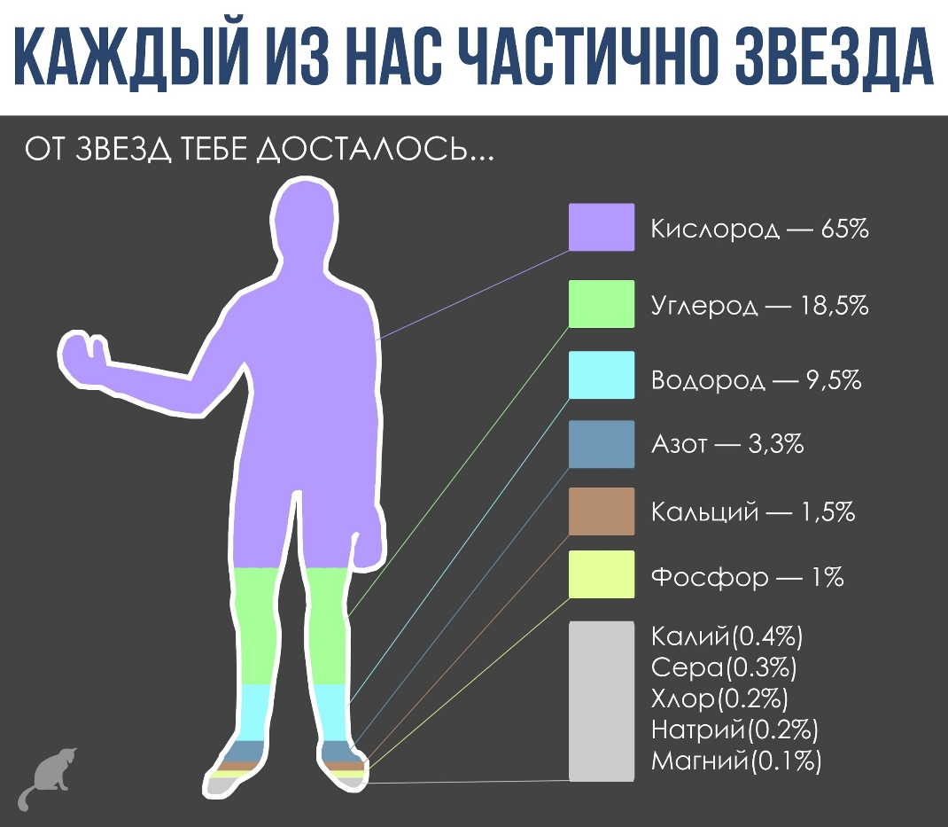 КАЖДЫЙ ИЗ НАС ЧАСТИЧНО ЗВЕЗДА ОТ ЗВЕЗД ТЕБЕ АОСТААОСЬ КОАЬЦИЙ 15 СЭосфор 1 КОАИЙ04 Серо03 ХАорО2 Нотрий02 Могний01