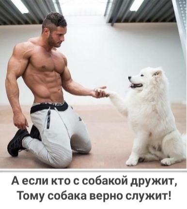 А если кто с собакой дружит Тому собака верно служит