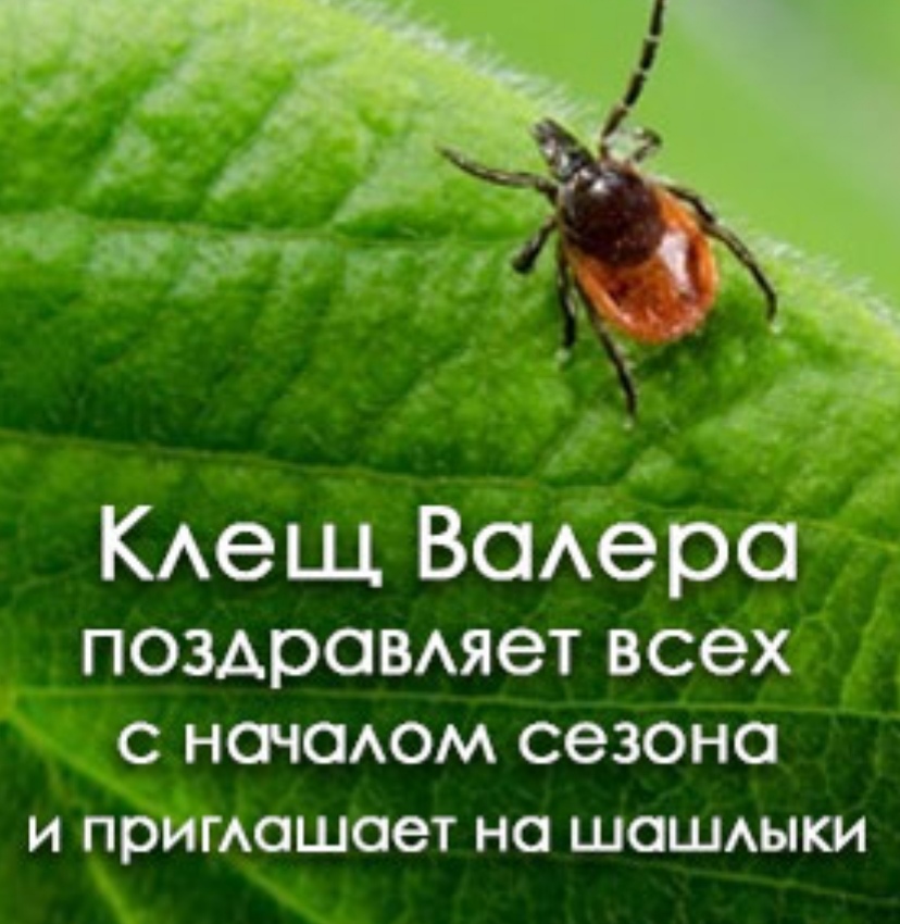 КАещ Ваеро поздрамяет всех С НОЧОАОМ СЭЗОНО И примошоет НО ШОШАЫКИ