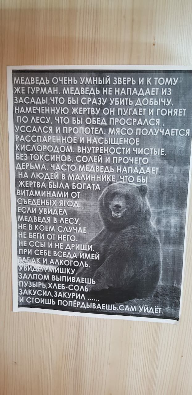 мвдввдь очень умный зввгь и к тому же ГУРМАН медведь не НАПАААЕТ из зАсддынто вы СРАЗУ увитьдовычу НАмвченную жертву он пугАети гоняет по АЕСУ что вы оввА проемюя уссмсд ИА РЖ о поАУЧАЕтся о с вновд _ киеогодошвнутгв ости чиоійпз ввз токсиноысодвй и ПРОЧЕ Атм НА Аюд жвгтвА БЫАА