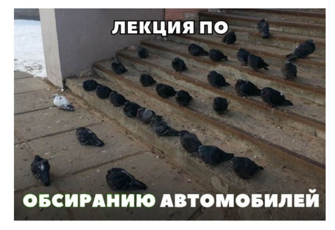ЛЕКЦИЯ ПО ОБСИРАНИЮ АВТОМОБИЛЕЙ