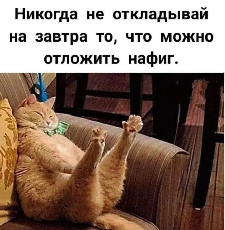 Никогда не откладывай на завтра то что можно отложить нафиг