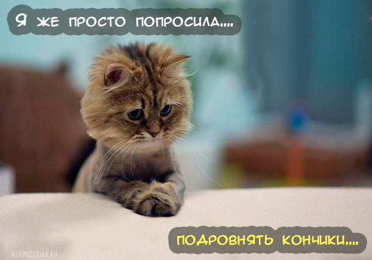 9 кв тесто попросиА
