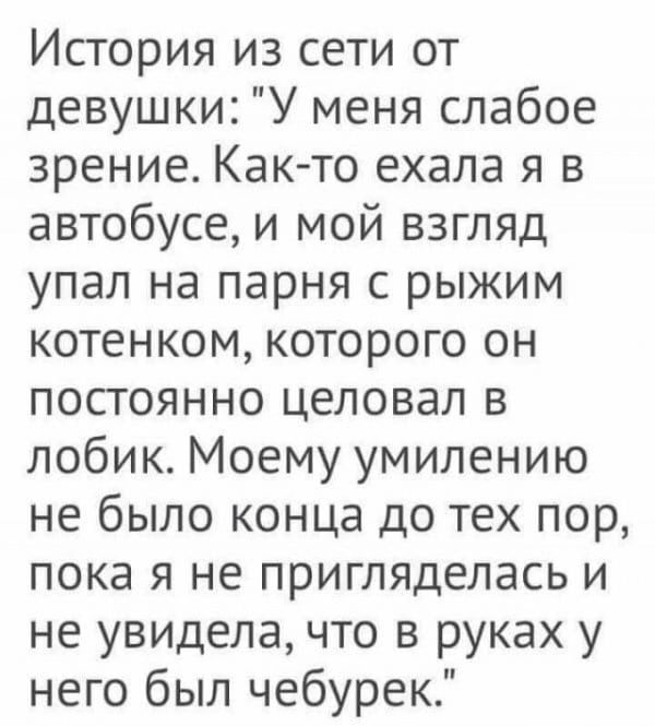 История из сети от девушки У меня слабое зрение Как то ехала я в автобусе и мой взгляд упал на парня с рыжим котенком которого он постоянно целовал в лобик Моему умилению не было конца до тех пор пока я не пригляделась и не увидела что в руках у него был чебурек