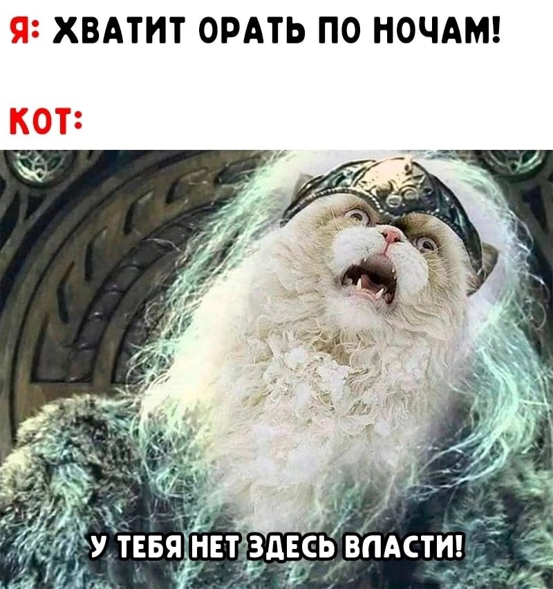 Я ХВАТИТ ОРАТЬ ПО НОЧАМ