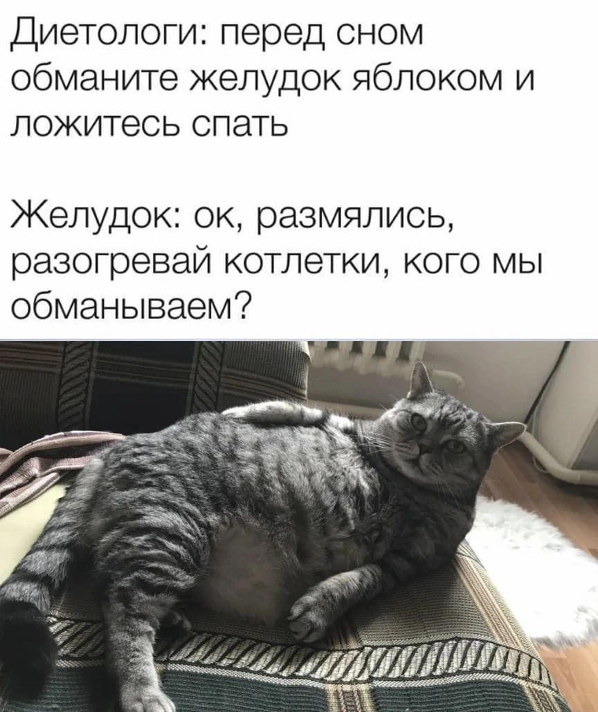 Диетологи перед сном обманите желудок яблоком и ложитесь спать Желудок ок размялись разогревай котлетки кого мы обманываем ЛШ
