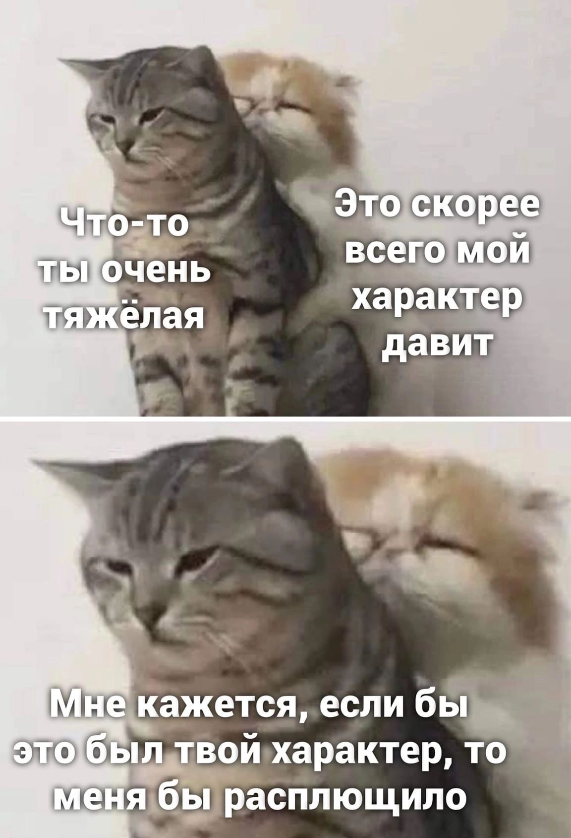 тш_ш расплющило