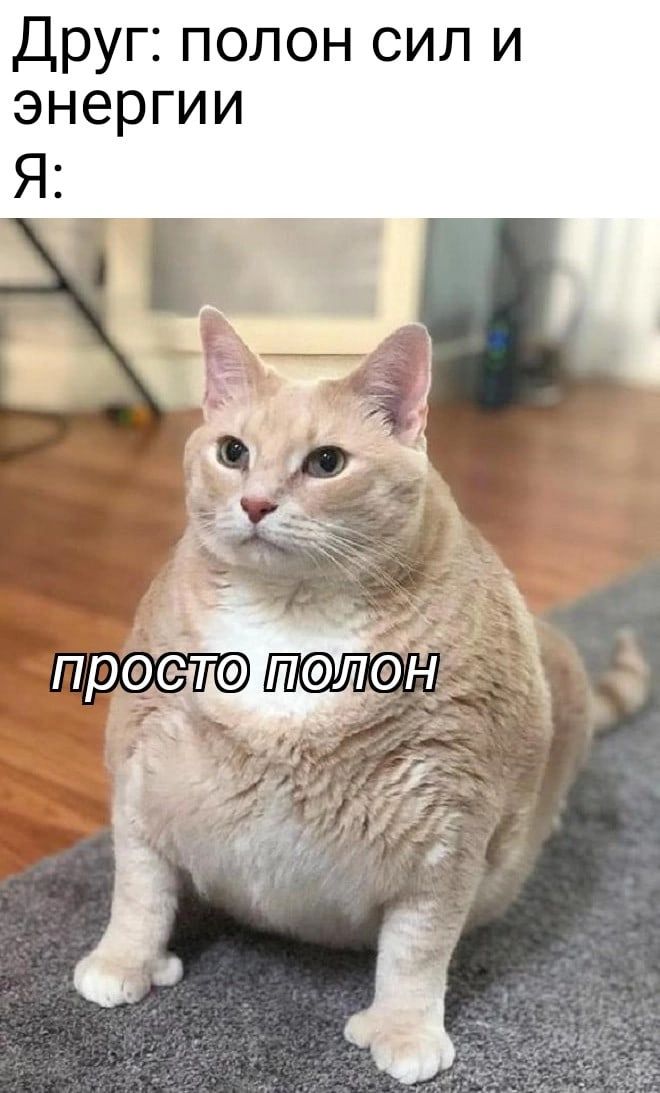 Друг полон сил и энергии