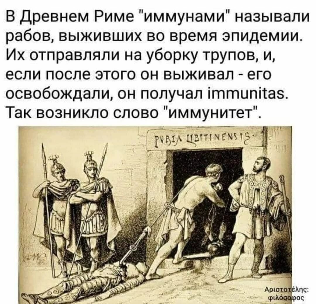 В Древнем Риме иммунами называли рабов ВЫЖИВШИХ ВО время ЭПИДеМИИ Их отправляли на уборку трупов и если ПОСЛЕ ЭТОГО ОН ВЫЖИБЗП ЕГО освобождали он получал іттипііаз Так возникло слово иммунитет мьд