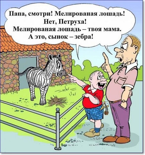 ГУ Папа смотри Мелированая лошадь Нет Петруха Мелировапая лошадь твоя мама А это сынок зебра
