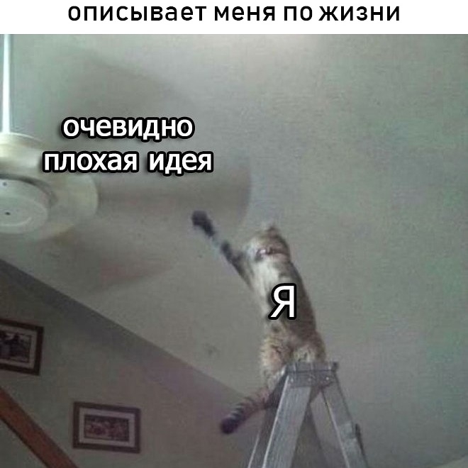 ОПИСЫВЭЭТ меня по ЖИЗНИ ОЧЭВИДНО ПЛ_ХаЯ Идея