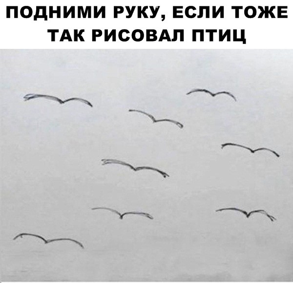 ПОДНИМИ РУКУ ЕСЛИ ТОЖЕ ТАК РИСОВАП ПТИЦ