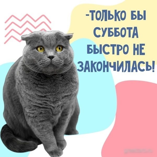 Т0ЛЫЮ БЫ СУББОТА _ д __ БЫСТРО НЕ здкені випдсы
