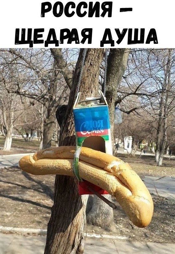россия щвдтя
