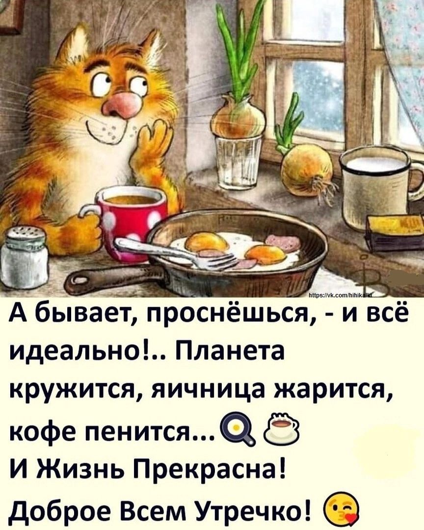 _1_ г А бывает проснёшься и всё идеально Планета кружится яичница жарится кофе пенится И Жизнь Прекрасна доброе Всем Утречко