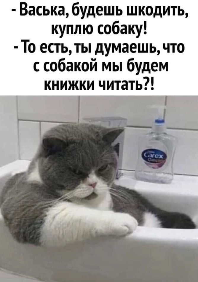 Васька будешь шкодить куплю собаку То есть ты думаешь что с собакой мы будем книжки читать