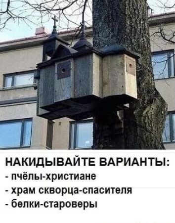 _ НАКИДЫВАЙТЕ ВАРИАНТЫ пчёлы христиане храм скаорца спасителя белки староверы