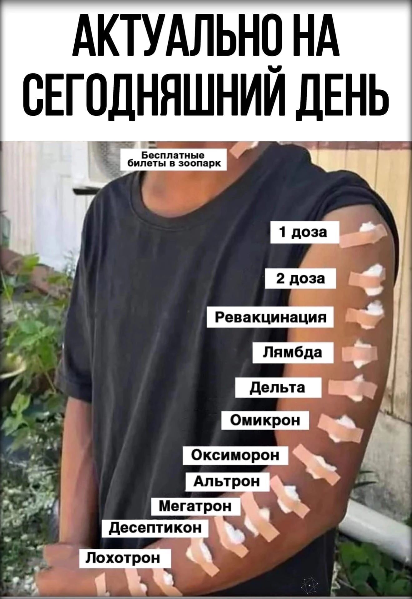 АКТУАЛЬНЧ НА СЕГОДНЯШНИИ ДЕНЬ Бесплатные билеты в зоопарк _ __ Альтрон 115 Мегатрон э десептикон _ _ Лохотрон