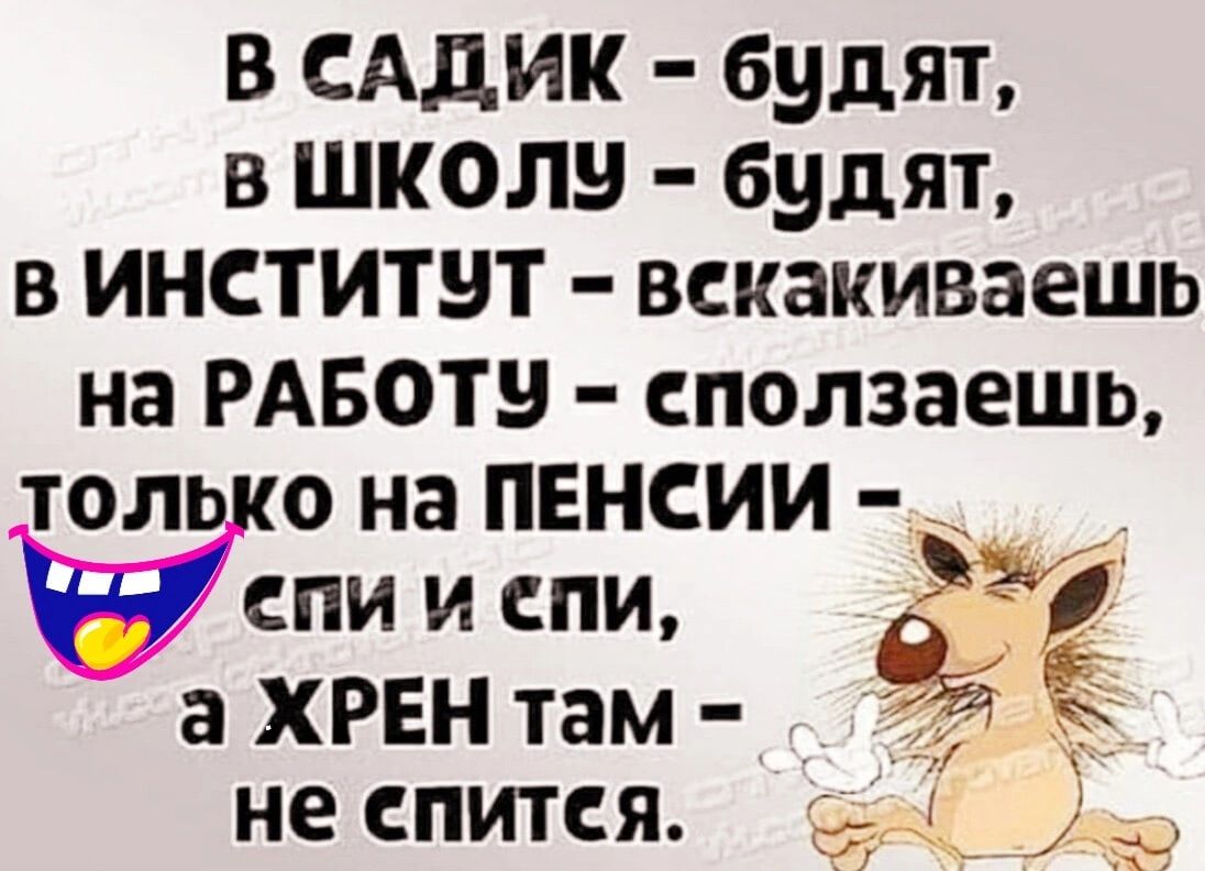В САдик будят в школу будят в институт вскакиваешь на РАБОТБ сползаешь толь о на пенсии Ыпииспи а ХРЕН там ди не спится б __