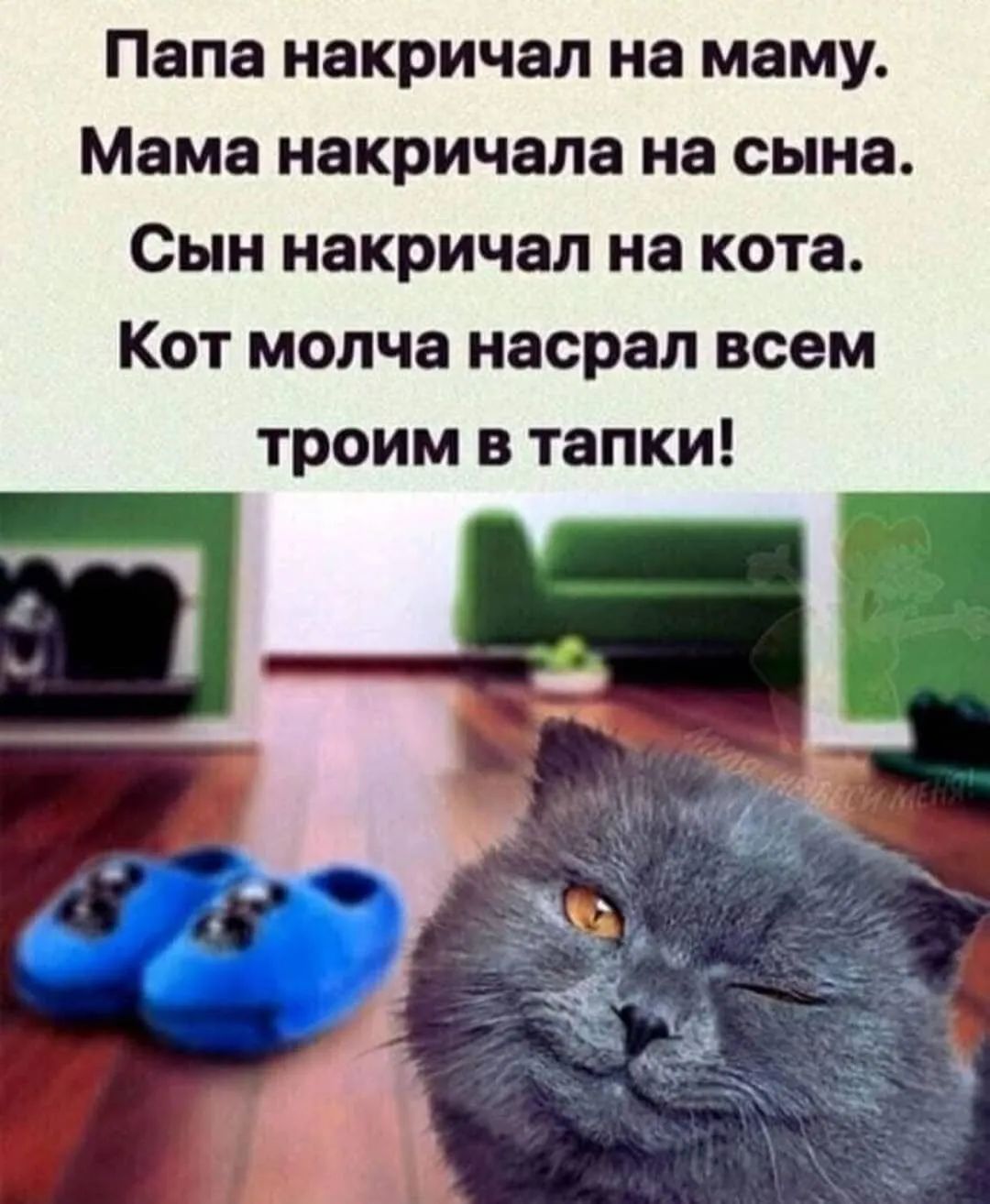 Папа накричал на маму Мама накричала на сына Сын накричал на кота Кот молча насрал всем троим в тапки